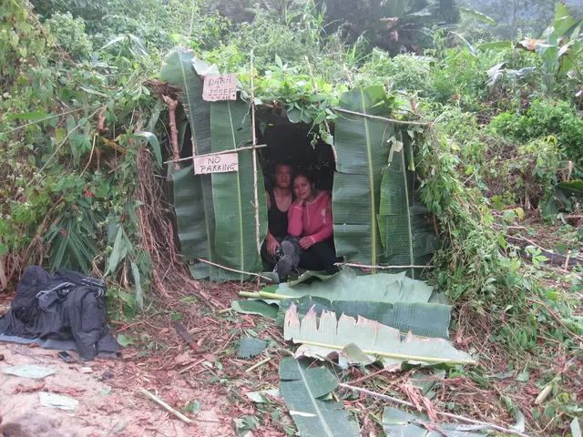Reiek Trekking 2010